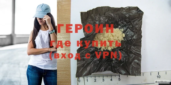 индика Няндома